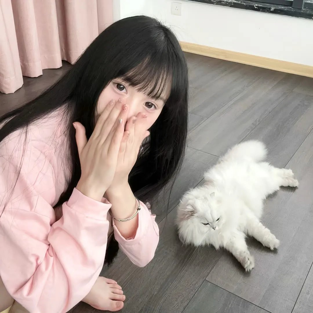 完美世界年番